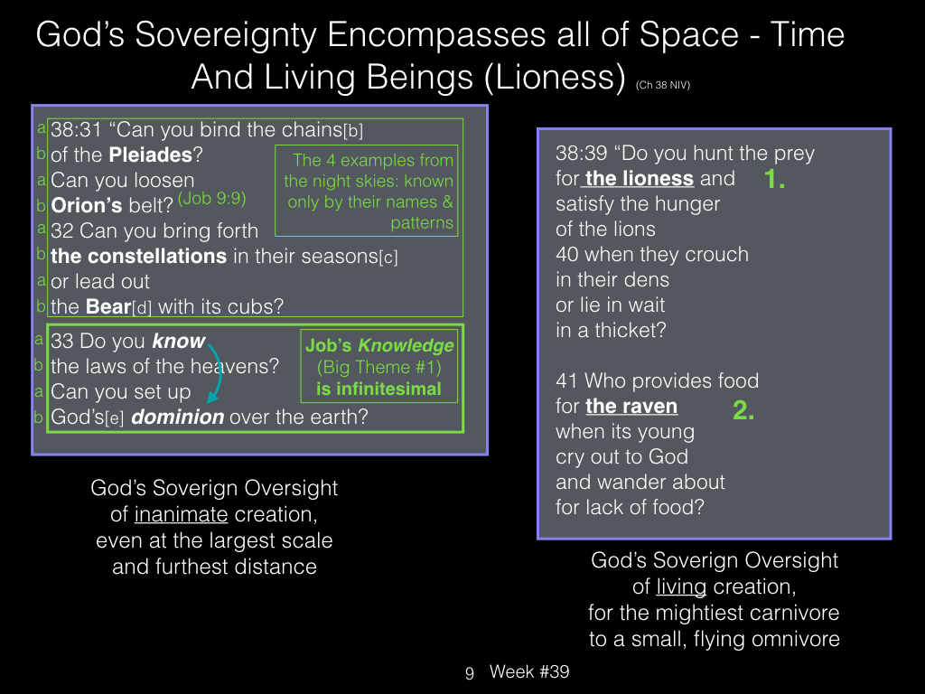 Book of Job, Week #39.009