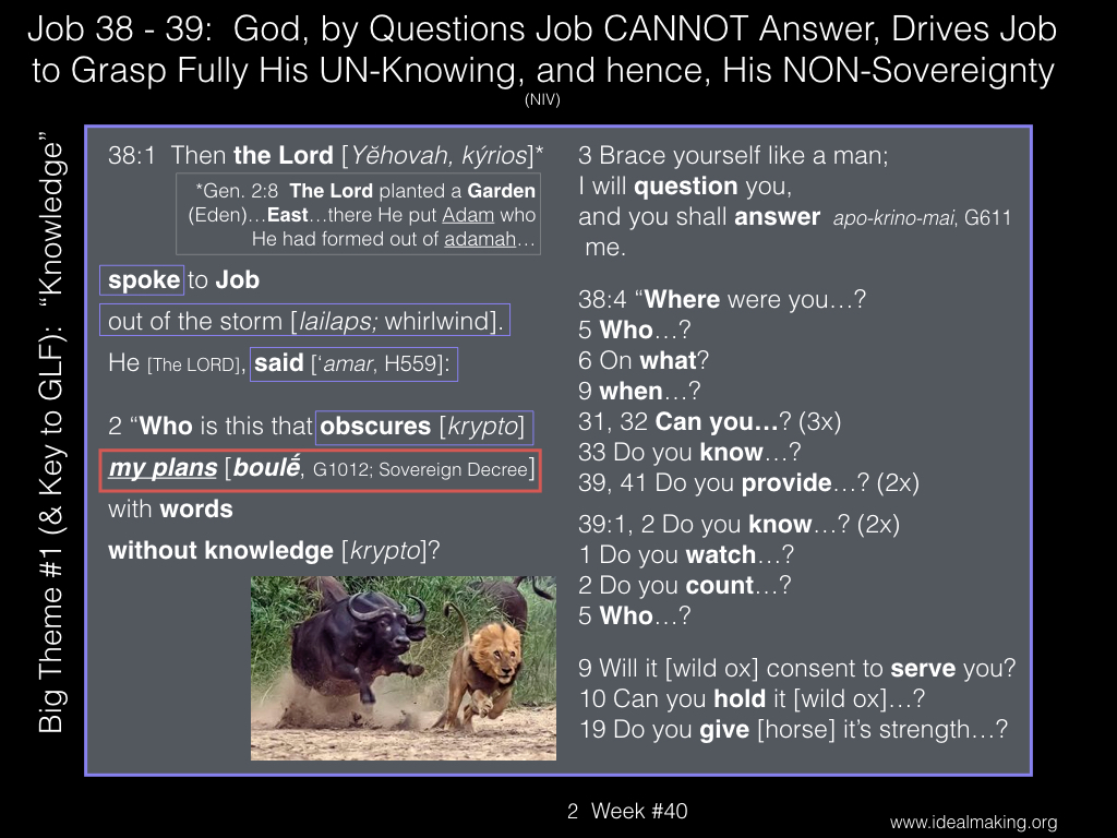 Book of Job, Week #40B.002