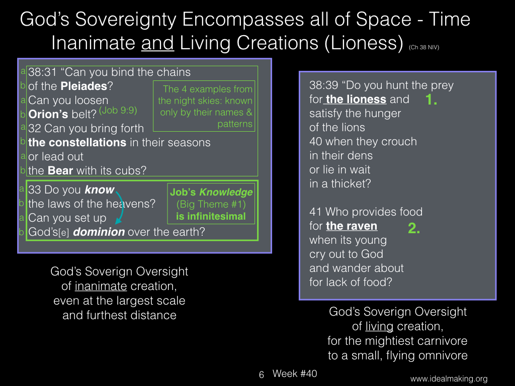 Book of Job, Week #40B.006