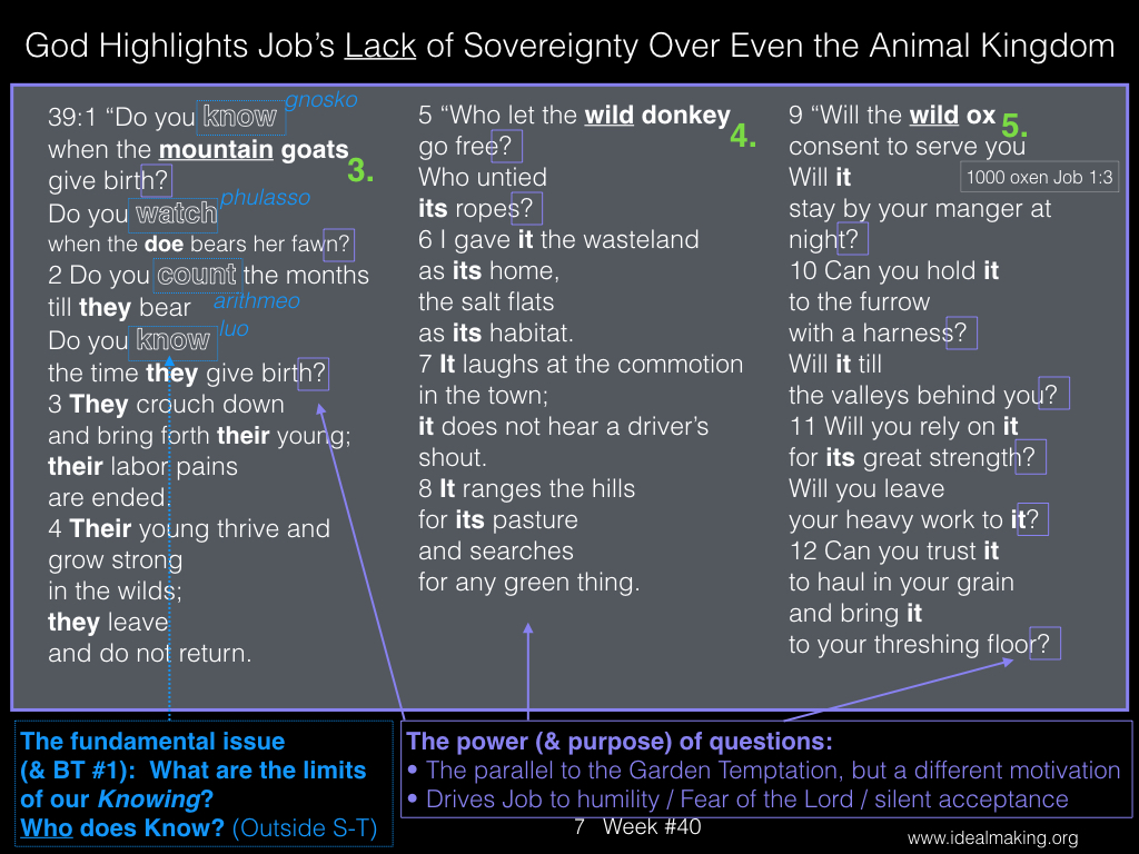 Book of Job, Week #40B.007