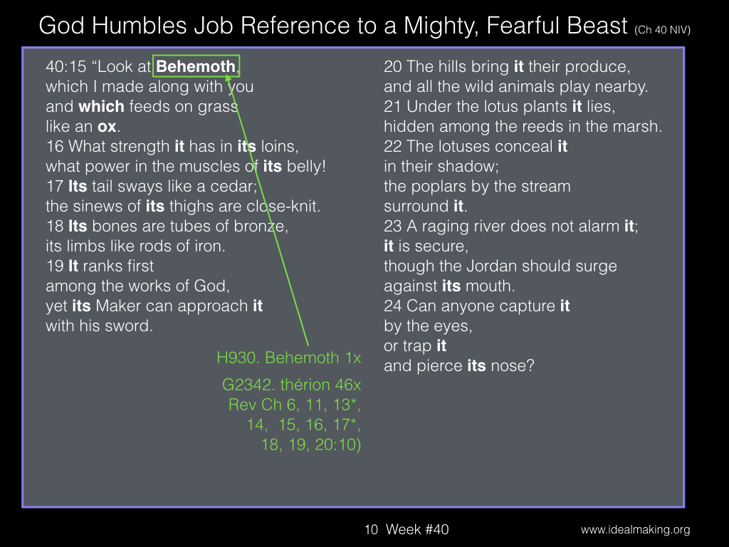 Book of Job, Week #40B.010